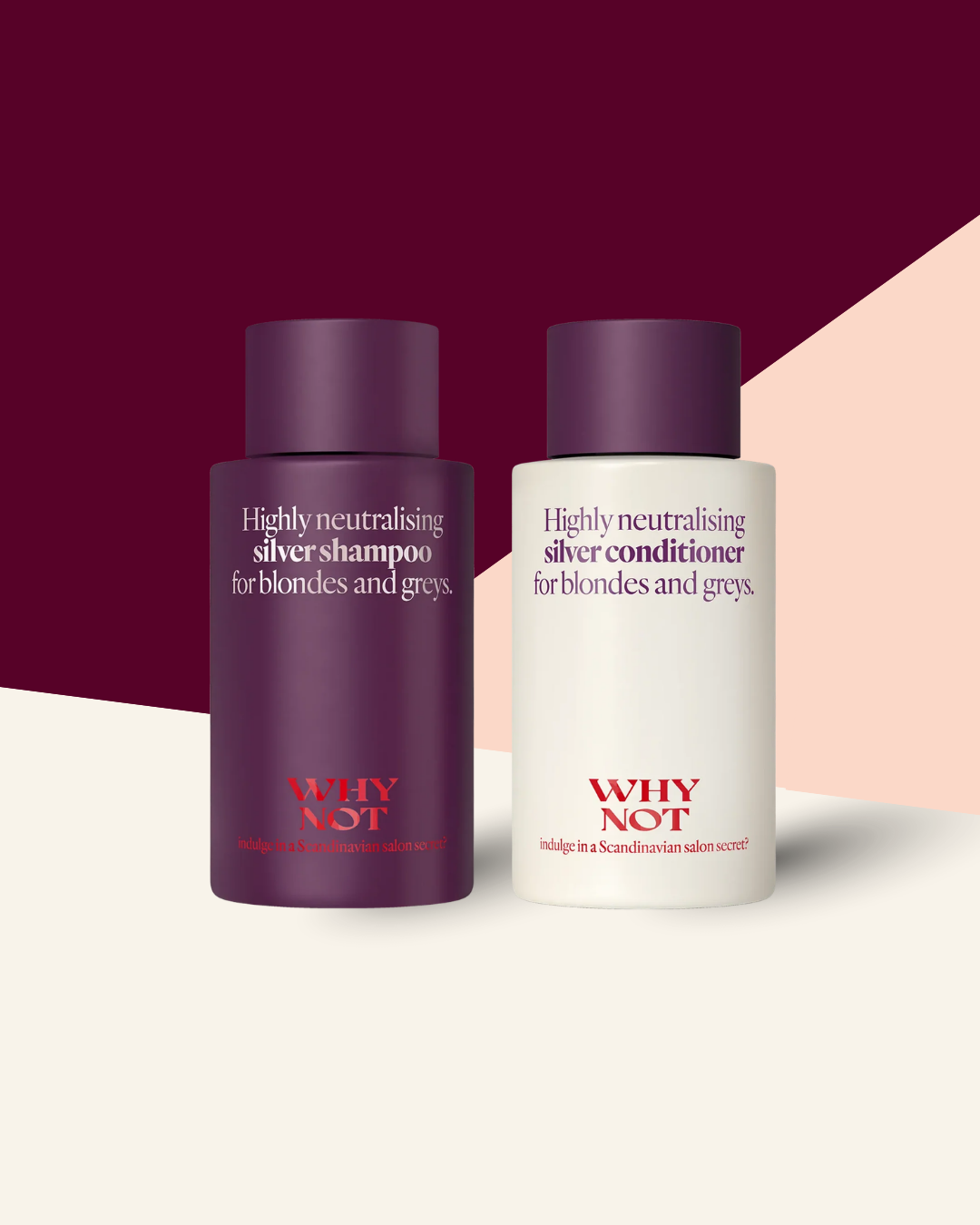 The Hydrating Silver Duo